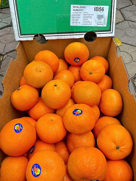 Ảnh 3