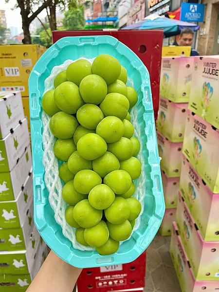 Ảnh 2
